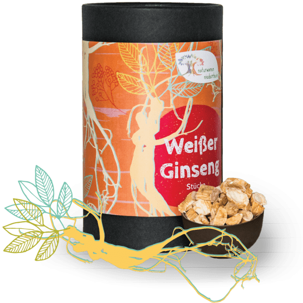 Ginseng Wurzel (Bio)