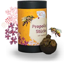 Propolis Stücke, roh - 1kg - 500g - 250g - 100g Bild 1