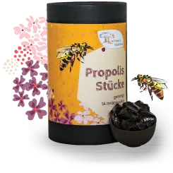 Propolis Stücke - gereinigt - 1kg - 500g - 250g - 100g Bild 1