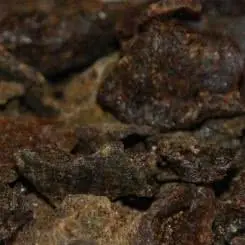 Bio Propolis Stücke - 1000 g / 1 kg Bild 1