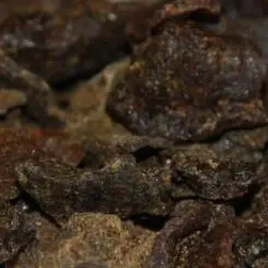 Bio Propolis Stücke - 500 g Bild 1
