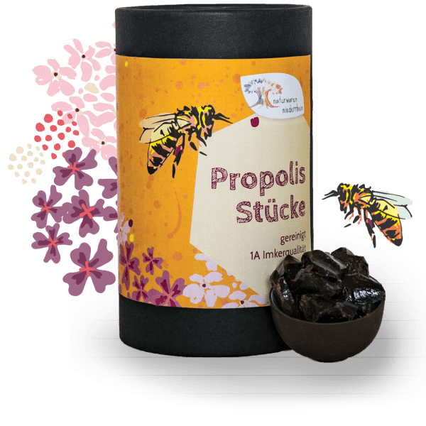 Propolis Stücke - gereinigt - 1kg - 500g - 250g - 100g 