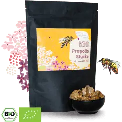 Bio Propolis Stücke - 100 g Bild 2
