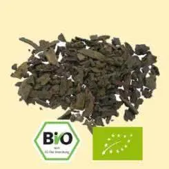 Bio Propolis Stücke - 1000 g / 1 kg Bild 2