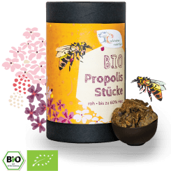 Bio Propolis Stücke, roh - Premiumqualität 