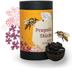 Propolis Stücke - gereinigt - 1kg - 500g - 250g - 100g
