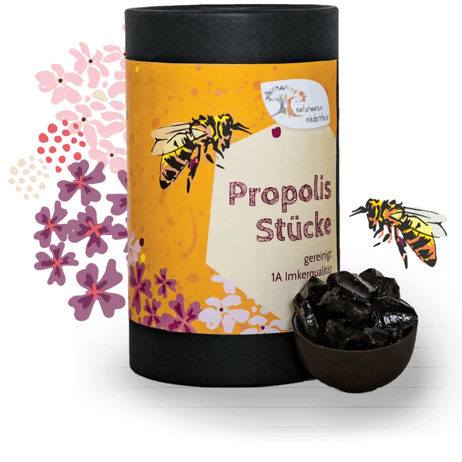 Propolis Stücke - gereinigt - 1kg - 500g - 250g - 100g Bild 1